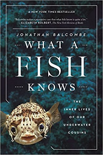 What a Fish Knows: The Inner Lives of Our Underwater Cousins | Complex Insight  - Understanding our world | Scoop.it