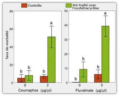 Les abeilles victimes d'un cocktail mortel... de médicaments | Biodiversité - @ZEHUB on Twitter | Scoop.it