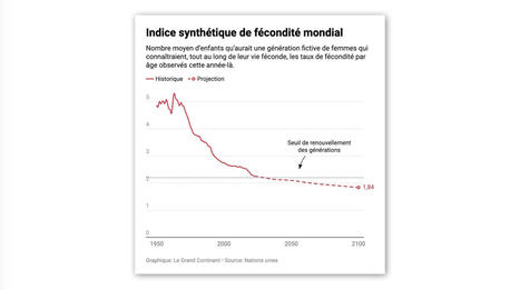 DEMOGRAPHIE : L&rsquo;humanit&eacute; pourrait d&eacute;j&agrave; &ecirc;tre pass&eacute;e sous le seuil de renouvellement | RESSOURCES | Scoop.it