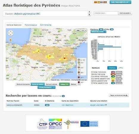 Un Atlas floristique pour les Pyrénées | Vallées d'Aure & Louron - Pyrénées | Scoop.it