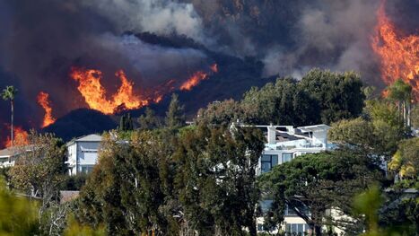 California adopts strongest landscaping rules in U.S. for wildfire risk - NPR | Operation Deimos | Scoop.it