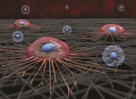 A New Liquid Biopsy Chip Developed at Worcester Polytechnic institute Detects Circulating Tumor Cells in 100 Percent of Blood Samples from Stage 1-4 Breast Cancer Patients – | from Flow Cytometry to Cytomics | Scoop.it