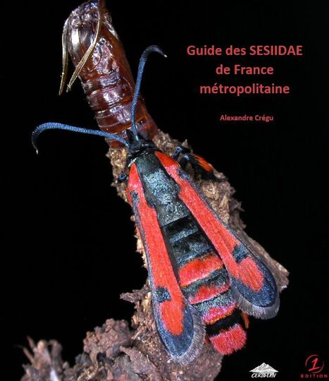 [PARUTION] de l'ouvrage de r&eacute;f&eacute;rence sur les Sesiidae de France disponible d&egrave;s cet hiver | EntomoScience | Scoop.it