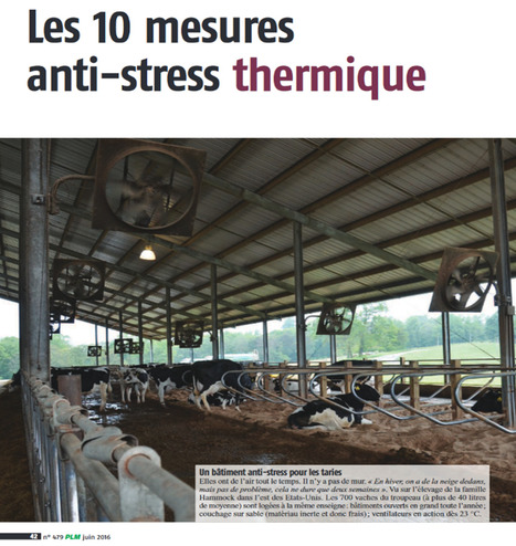 10 mesures anti-stress thermique | Lait de Normandie... et d'ailleurs | Scoop.it