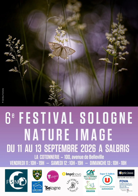 Le Festival Sologne Nature Image &agrave; Salbris f&ecirc;te sa 6e &eacute;dition | Vari&eacute;t&eacute;s entomologiques | Scoop.it