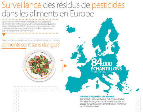 Résidus de pesticides dans les aliments : le risque pour les consommateurs reste faible | EFSA | Prévention du risque chimique | Scoop.it