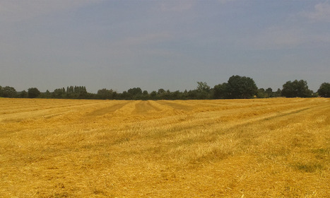 Echange paille-fumier : quels repères pour cette année ? - Chambre d'agriculture Pays de la Loire | Agriculture en Pays de la Loire | Scoop.it