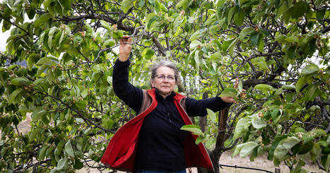 Sécheresse dans les Pyrénées-Orientales : comment vivre dans un village privé d’eau potable | Les Colocs du jardin | Scoop.it