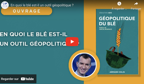 En quoi le bl&eacute; est-il un outil GEOPOLITIQUE ? | CIHEAM Press Review | Scoop.it