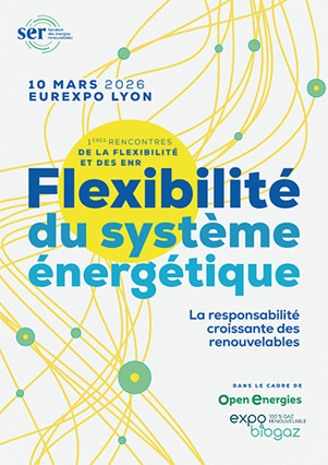 1&egrave;res Rencontres de la flexibilit&eacute; des EnR | rev3 - la 3&egrave;me r&eacute;volution industrielle en Hauts-de-France | Scoop.it