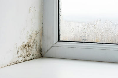 Guidance to avoid health risk caused by energy saving measures in homes | ventilation | Scoop.it