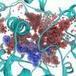 Japan scientists study oyster 'language' | Science News | Scoop.it