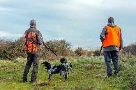 Sécurisation de la chasse : que peuvent faire les collectivités ? | Veille juridique du CDG13 | Scoop.it