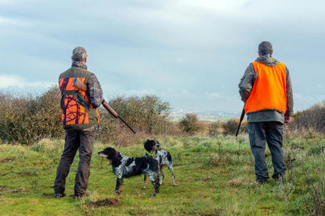 Manifeste de la chasse : les élus locaux sortent du bois | Transition énergétique et écologique. Mobilité et transports | Scoop.it