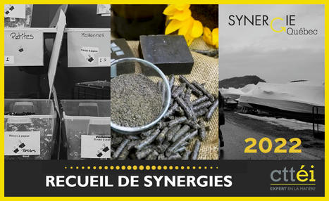 Le CTTÉI et Synergie Québec lancent le Recueil de synergies 2022 | ECONOMIE CIRCULAIRE, ECONOMIE DE LA FONCTIONNALITE | Scoop.it