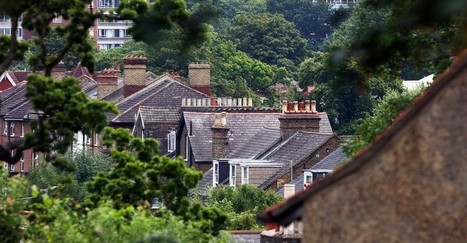 How London’s Trees Help Boost the Local Economy | Energy Transition in Europe | www.energy-cities.eu | Scoop.it