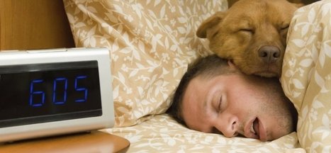 10 Ways to Get More Productive Sleep | Coaching & Neuroscience | Scoop.it