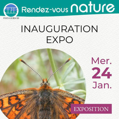 [Expo 🦋] Les expos reviennent au CPIE Pays Gersois | Variétés entomologiques | Scoop.it