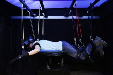 Experiencing underwater worlds, virtually | IA, DATACENTER & TRANSITION DIGITALE | Scoop.it