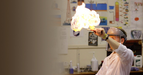 Twig | Science (to support Australian Curriculum) | Scoop.it
