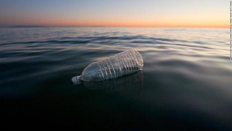 Plastic alternatives could make marine pollution even worse, report finds | Sustainability Science | Scoop.it