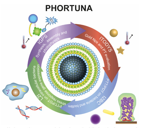 Le projet PHORTUNA coordonné par Ali Makky, lauréat de l’appel à projets PEPR LUMA | Life Sciences Université Paris-Saclay | Scoop.it