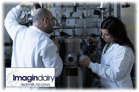 USA : La FDA autorise Imagindairy à produire des protéines laitières non-animales | Lait de Normandie... et d'ailleurs | Scoop.it