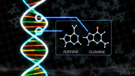 Does DNA have Extraterrestrial Origins? | omnia mea mecum fero | Scoop.it