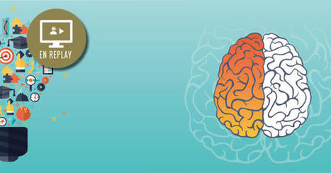 Y a-t-il un pilote ? Le cerveau aux manettes des apprentissages - replay de la webconférence du 30/03/21 | Formation : Innovations et EdTech | Scoop.it