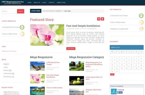 MegaResponsive Pro – Premium Responsive Theme | Wordpress-Webdesign | Scoop.it
