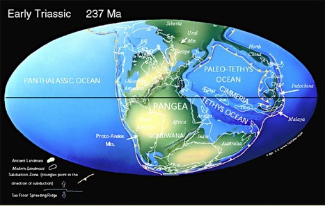 Paleomaps and Earth's History - World geography millions of years in the past and in the future | Amazing Science | Scoop.it