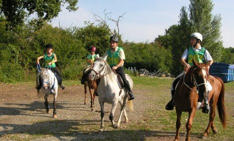 Endurance équestre :  plus de 100 cavaliers attendus | Cheval et sport | Scoop.it