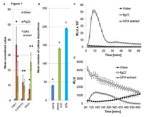 Plant Physiology: The leucine-rich repeat receptor-like kinase BAK1 and the cytochrome P450 PAD3 contribute to innate immunity to aphids in Arabidopsis (2014) | Publications from The Sainsbury Laboratory | Scoop.it