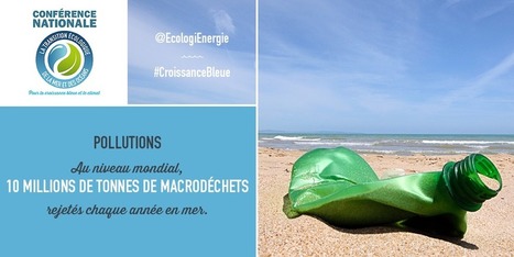 Conférence nationale pour la croissance bleue - Ministère du Développement durable | Biodiversité | Scoop.it