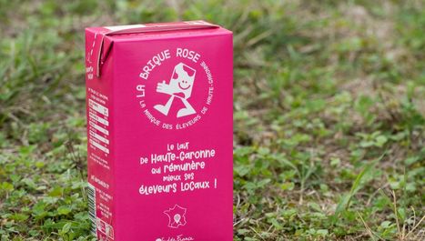 En Gironde, la coopérative Éleveurs du sud-ouest veut "préserver un tissu" d'élevage laitier | Actualité Bétail | Scoop.it