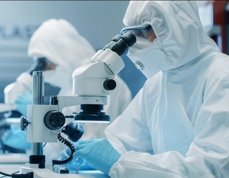 Many drug manufacturers fail to complete the FDA approval process, research reveals | Tampa Florida | Scoop.it