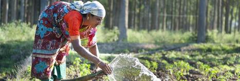 L'#Eau |&nbsp; les #financements doivent tripler pour atteindre les objectifs climatiques et ceux du d&eacute;veloppement durable | #CCNUCC | RSE et D&eacute;veloppement Durable | Scoop.it