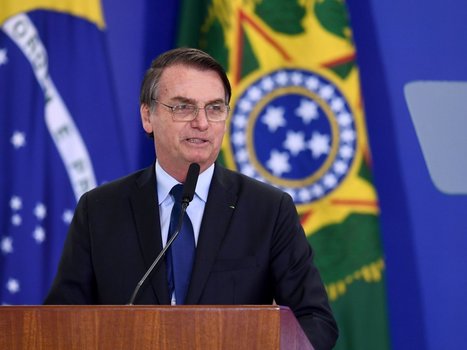 Brazil’s Bolsonaro plans to axe environmental panel that protects Amazon rainforest | Galapagos | Scoop.it