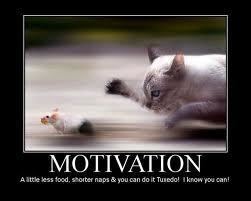 PantsUpDramaDown:  You Can Do It | CommonSenseOnComplexIssues | Scoop.it