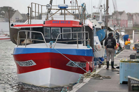 La pêche reprend dans le golfe de Gascogne, après un mois d’interdiction pour préserver les dauphins | HALIEUTIQUE MER ET LITTORAL | Scoop.it