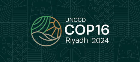 DÉSERTIFICATION : Retour sur les évènements du CARI à la COP16 ! | CIHEAM Press Review | Scoop.it
