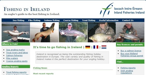 Fishing in Ireland. An angler's guide to the best fishing in Ireland. | Hobby, LifeStyle and much more... (multilingual: EN, FR, DE) | Scoop.it