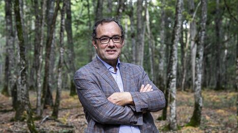 "Le ma&icirc;tre mot, c&rsquo;est la diversification" : face &agrave; la s&eacute;cheresse, les sylviculteurs s&rsquo;engagent pour prot&eacute;ger la for&ecirc;t en Touraine | Revue de presse &eacute;conomique du Sud Touraine | Scoop.it