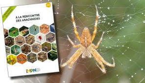 La biodiversité en France - Deux nouveaux livrets thématiques : Arachnides et Poissons | Biodiversité | Scoop.it