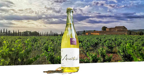 Choose Vernus the Seasonal Organic Wine Subscription | Essência Líquida | Scoop.it
