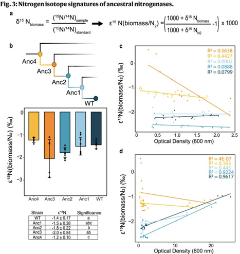 Resurrected nitrogenases recapitulate canonical N-isotope biosignatures over two billion years | Ncm | RMH | Scoop.it