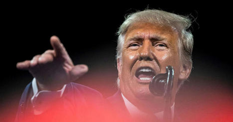 Trump lawyers planning criminal defense that shifts blame to “fall-guys” that worked for him: report - Salon.com | Backstabber Watch | Scoop.it