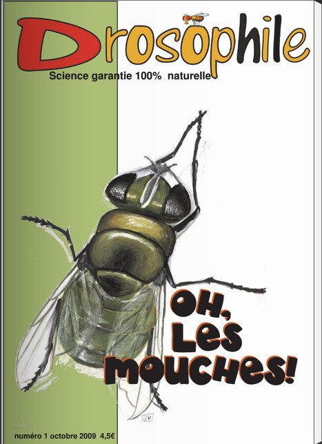 Drosophile - Le journal de science 100% naturelle | EntomoScience | Scoop.it