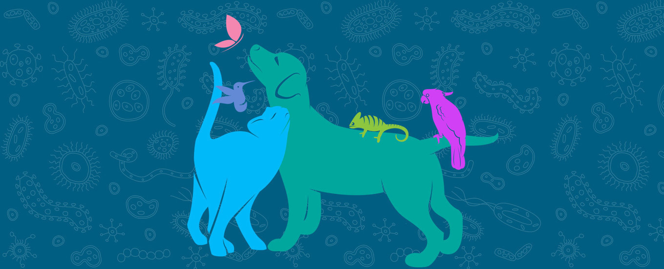 Zoonotic diseases like Lyme disease spread from...