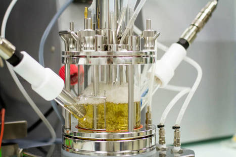 Why PepsiCo, L&rsquo;Oreal and Nestle are banking on this French plastics recycling startup | Greenbiz | Sustainability Science | Scoop.it
